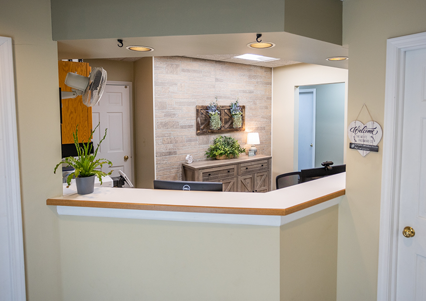 Welcoming reception area in dental office